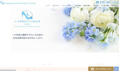 しろがねのりこ皮ふ科